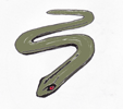 slowworm