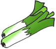 leek